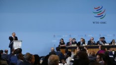 Кой печели най-много от СТО?