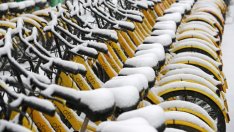 Китайският стартъп за споделяне на велосипеди Ofo е изправен пред колапс