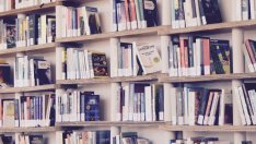 Н. Кицевски: Намаление на ДДС върху книгите няма да увеличи читателите