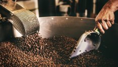 Водещите производители на кафе в света се насочват към зърна с плесен