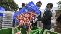 Пекин започва борба с преяждането и разхищението на храна