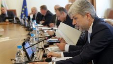 Нено Димов: Над 60% от подадените места за загробване на прасета са отказани