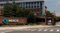 Печалбата на Merck набъбва, също и благодарение на Pfizer и GlaxoSmithKline