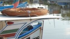 Рязък завой към екология в политиката по рибарство на ЕС до 2020 г.