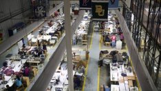 Икономиката на еврозоната се радва на най-добрата си година от десетилетие