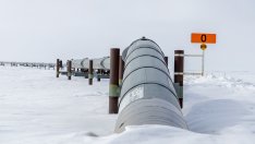 Тръмп стартира мерки за отмяна на забраната за добив на петрол в Аляска