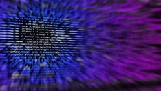 Работодателят на задържания хакер го определи като лоялен и етичен професионалист