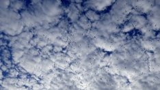 Само една от 15 държави в ЕС спазва стандарта за качество на въздуха