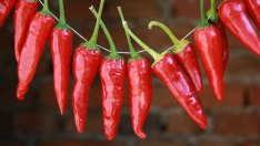 Общини ще изграждат инфраструктура със 125 млн. лева по ПРСР