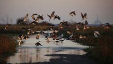 ЕК иска България да ускори прилагането на законодателството за околната среда