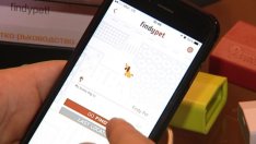 FindyPet - устройството, с което няма да има загубени домашни любимци