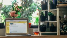 Държавата дава ход на промени в законите за работа от разстояние