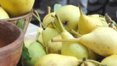 Над 3,7 млн. лв. се отпускат по схемата „Училищен плод“ от есента