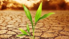 Настъпва ли ерата на разтопената зима