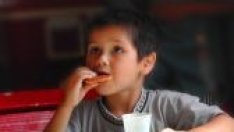 Новите правила за хранене в детските градини получават над 50% подкрепа