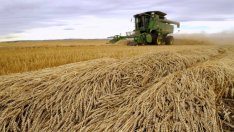 ББР с нов продукт в подкрепа на частните земеделски стопани