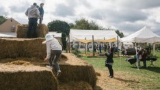 Цялата купа ли трябва да купуват инвеститорите или да търсят златните игли в нея