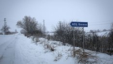 За пореден път България променя официално решението си за АЕЦ "Белене"