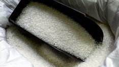 Индия може да се наложи да внася захар заради недостатъчно вода за напояване