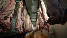 Какво е общото между пазара на петрол и пазара на добитък?