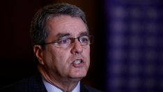 СТО: В една широкомащабна световна търговска война няма да има победители 