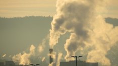 Какъв е пътят към декарбонизация на веригите за доставки?