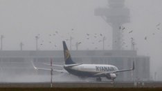 Маршрутите на късо разстояние се отплащат на Ryanair