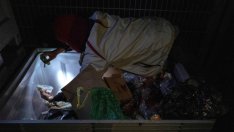 Проблемът с разхищението на храна е по-голям, отколкото се смяташе