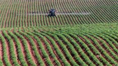 Д. Танева: Най-важният документ за земеделието ни е Поземленият кодекс