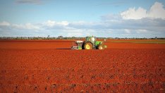 Кофас: Конкурентоспособността на българското земеделие намалява