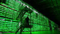 Печалбата от копаене на биткойни намалява за трети пореден месец