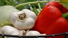 Градинарите ще получат държавна помощ за сертификати GlobalGAP