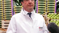 Икономическото възстановяването на Франция се оказа по-слабо