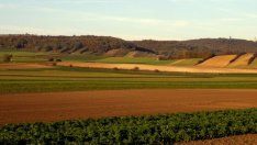 ГЕРБ и БСП вкараха в партийна битка Програмата за селските райони