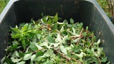 Общините искат да се ограничи поскъпването на такса "смет"