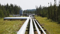 Във Wintershall са удивени от съпротивата срещу „Северен поток“ 2