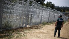 Решение за ограда по границата с Гърция - само след анализ