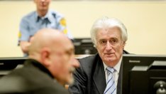 Присъдата на Караджич като победа за историята