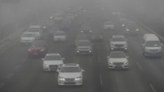 Градовете изпреварват правителствата в борбата срещу климатичните промени