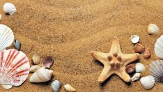 Определен е концесионер на големия плаж в „Св. Св. Константин и Елена“