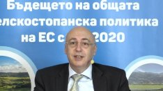 Европейската комисия е непреклонна за лимита за агросубсидиите