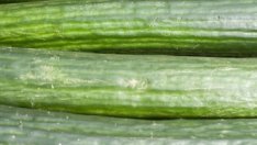 Русия забрани вноса на зеленчуци от ЕС 