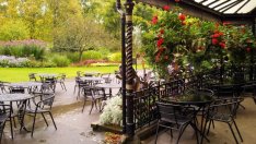 Общини нарушават със 157 наредби опазването на паркове и градини