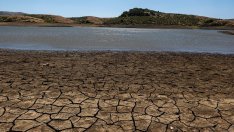 Екологични организации искат становище на български учени за климатичните промени