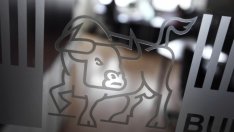 БФБ смалява загубата през 2015 г. до 314 хил. лв.