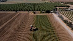 От 2010 г. тече устойчива тенденция по окрупняване на земеделските стопанства в България