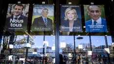 А. Кръстева: Международните позиции на Макрон могат да му изиграят лоша шега у дома