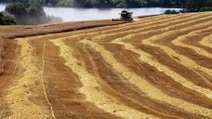 ЕС се насочва към по-щадящи околната среда торове