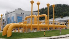 До 2030 г. Европа няма да увеличи консумацията на газ, твърди експерт