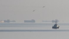 Любов Минчева: България трябва да е предпазлива по отношение на Украйна